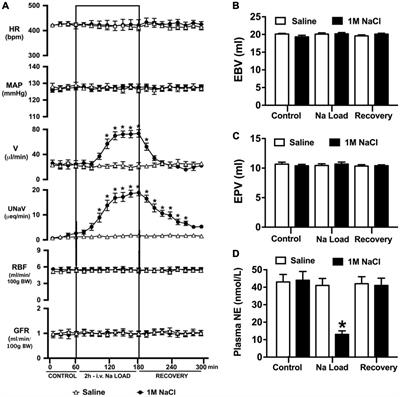 Natriuresis During an Acute Intravenous Sodium Chloride Infusion in Conscious Sprague Dawley Rats Is Mediated by a Blood Pressure-Independent α1-Adrenoceptor-Mediated Mechanism